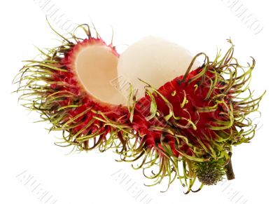 Rambutan, exotic fruit