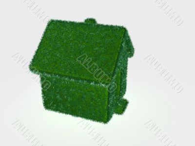 grass-house