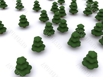 firtree