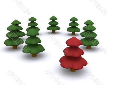 firtree