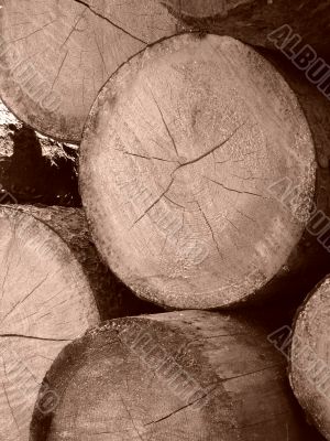 sawn timber