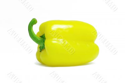 Yellow seet pepper isolated on white background