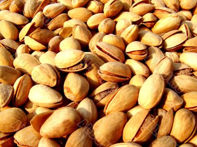 pistachio