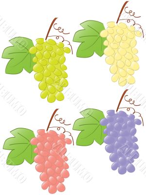 grape