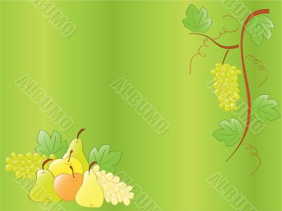 stillife
