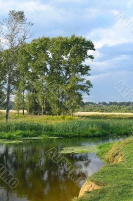 Landscape with small river on summer day