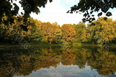 Autumnal landscape