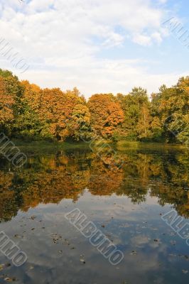 Autumn colors and water mirror