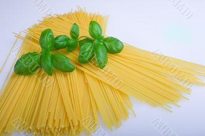 Spaghetti