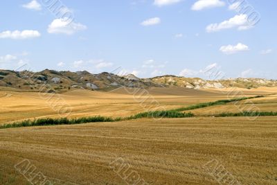Crete senesi, characteristic landscape in Val d`Orcia