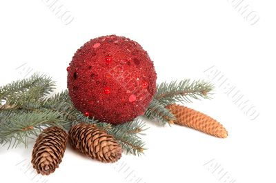 Branch of fir tree,ball and cones.