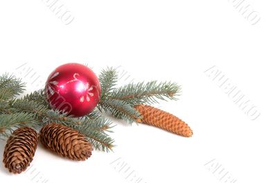 Branch of fir tree,ball and cones.