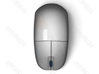 shiny mouse