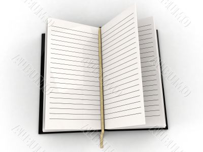 blank open diary