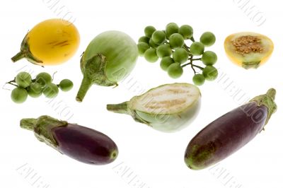 Aubergine