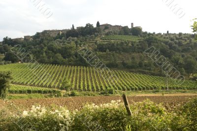 Landscape near Sant`Antimo (Tuscany)