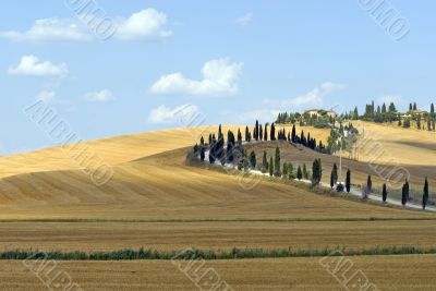 Crete senesi, characteristic landscape in Val d`Orcia