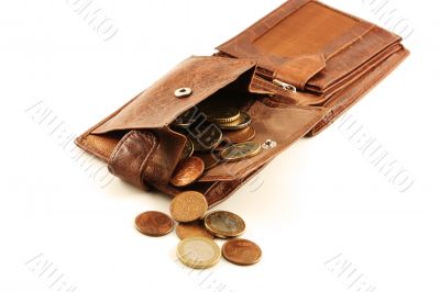 money in a purse