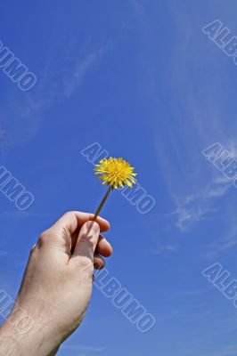 Summertime