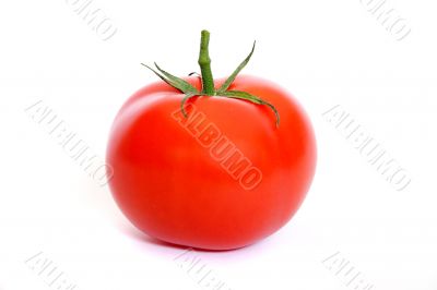 Tomato