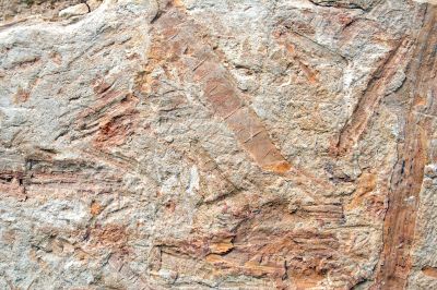 Stone texture
