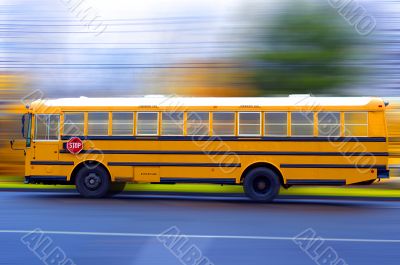 School Bus