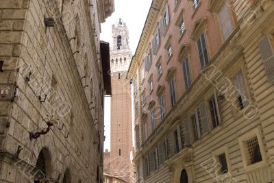 Siena - Torre del Mangia and other historic buildings