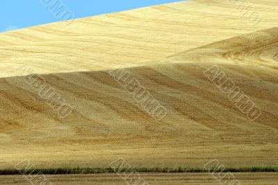 Crete senesi, characteristic landscape in Val d`Orcia