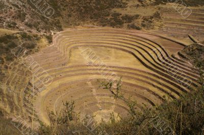 Inca ruins