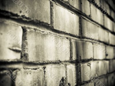 The brick wall