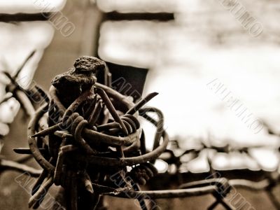 Barbed wire skein