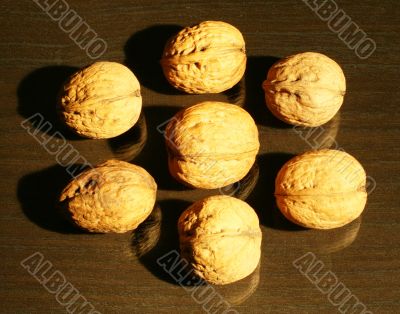 The 7 walnuts on the dark ground