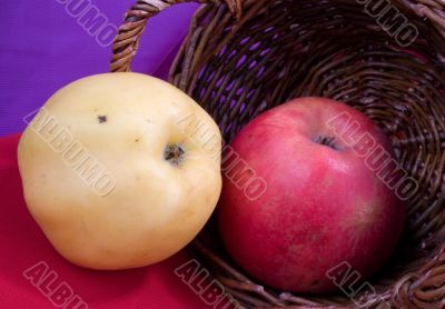 apples
