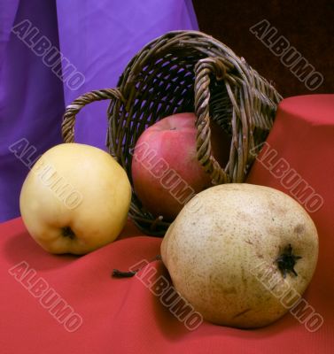 still life