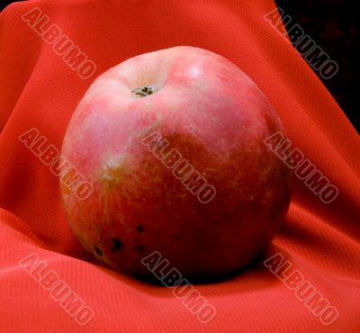 apple