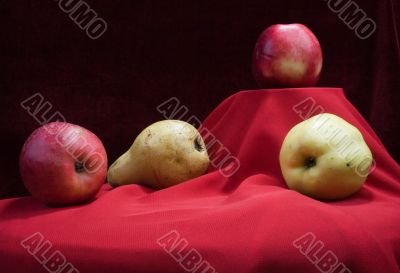still life