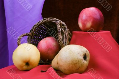 still life