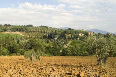 Landscape near Sant`Antimo, in Tuscany