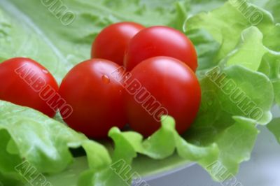 tomatos cherry on the plate