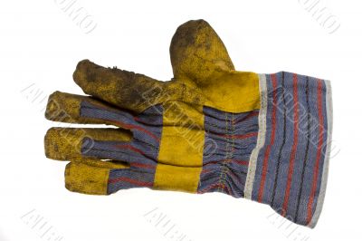 glove