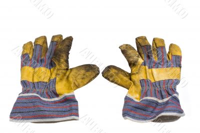 gloves
