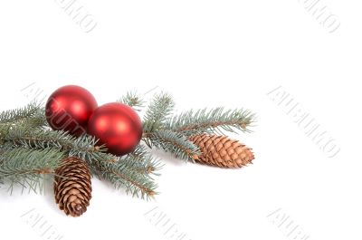 Branch of fir tree balls and cones