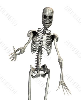 skeleton