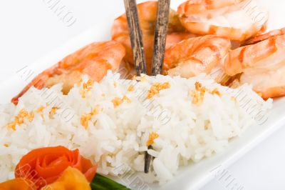 Prawn
