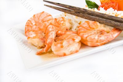 Prawn