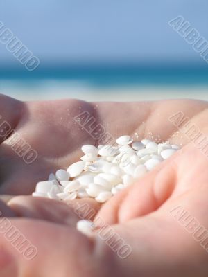 small shells in the palm of a hand