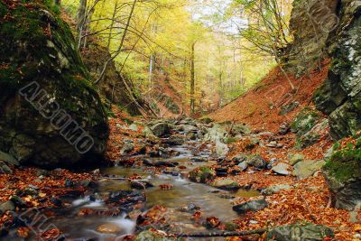 Autumn Scene