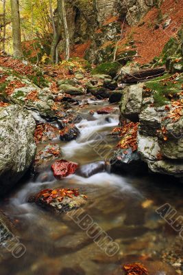 autumn scene