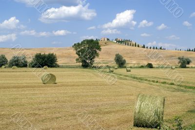 Crete senesi, characteristic landscape in Val d`Orcia