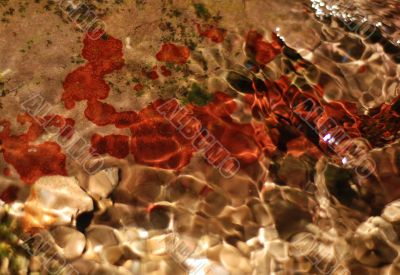 Underwater Composition